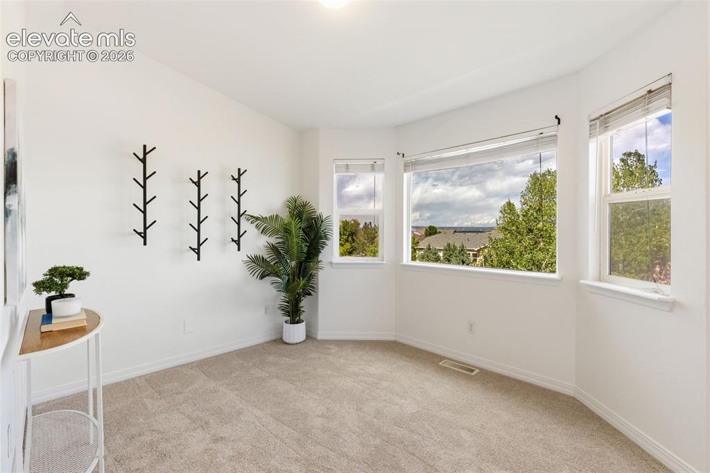 459 Assay Court Colorado Springs CO 80905