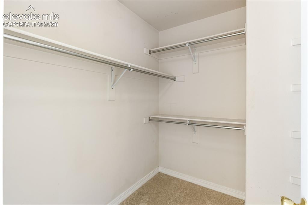 459 Assay Court Colorado Springs CO 80905