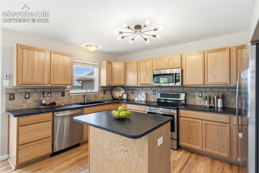 459 Assay Court Colorado Springs CO 80905