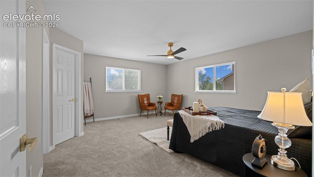 11623 Cranston Drive Falcon CO 80831