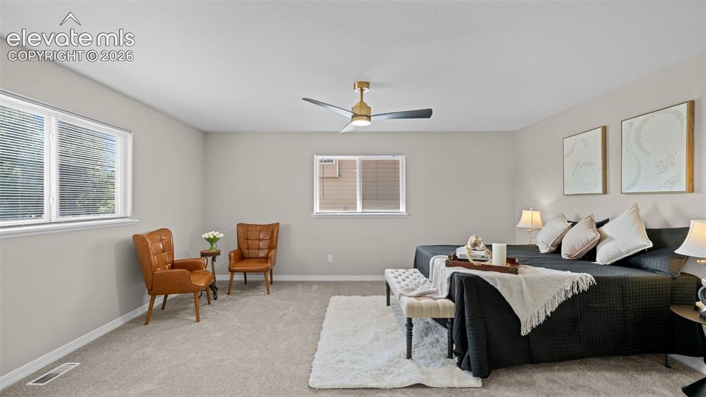11623 Cranston Drive Falcon CO 80831