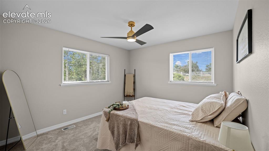 11623 Cranston Drive Falcon CO 80831