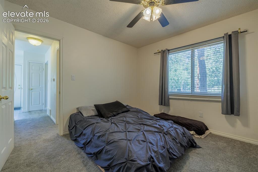 419 W Lake Drive Divide CO 80814