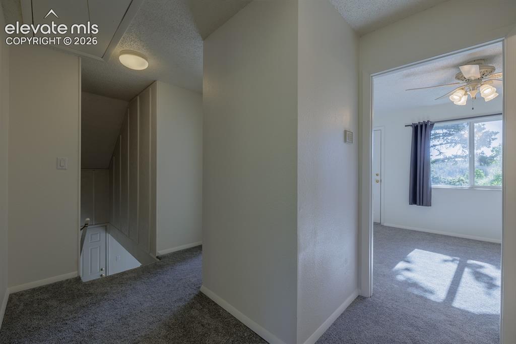 419 W Lake Drive Divide CO 80814