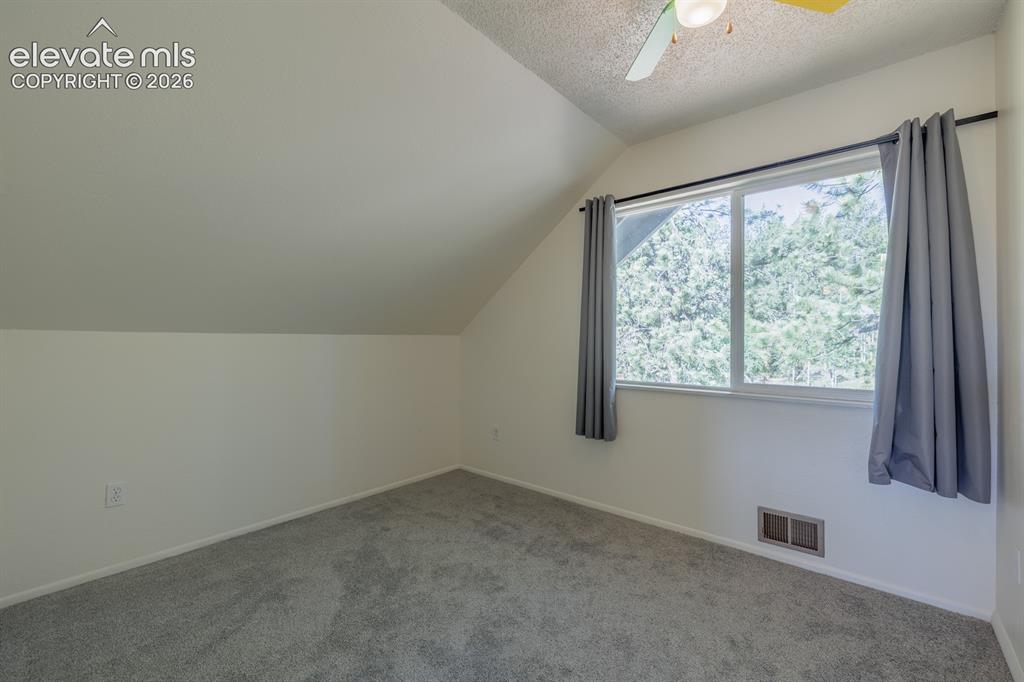 419 W Lake Drive Divide CO 80814