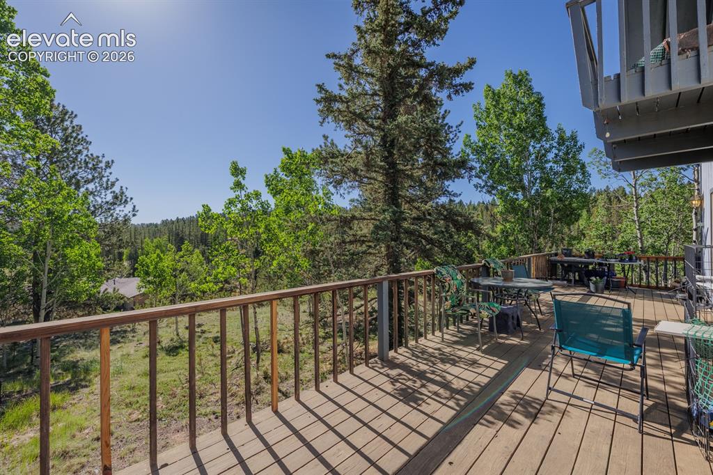 419 W Lake Drive Divide CO 80814