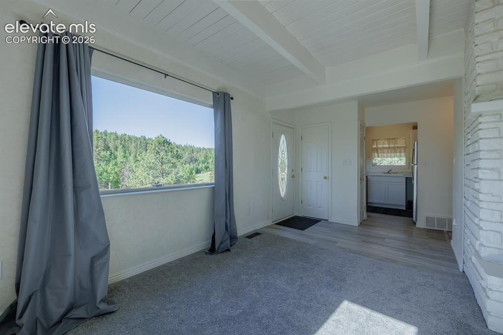 419 W Lake Drive Divide CO 80814