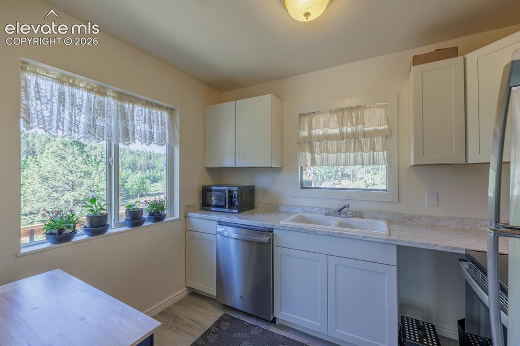 419 W Lake Drive Divide CO 80814