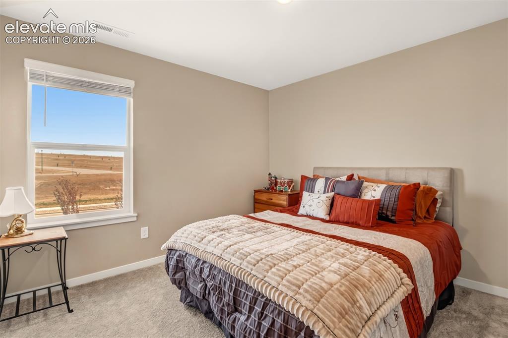 6133 Alpine Ridge Drive Colorado Springs CO 80925