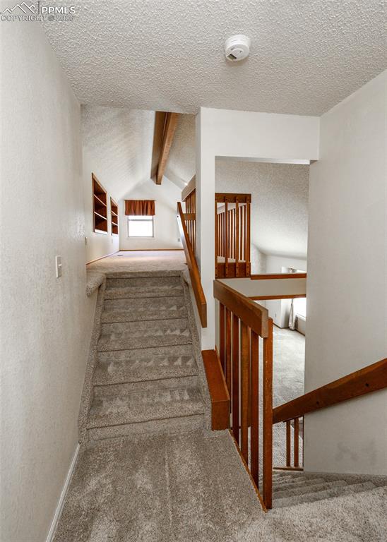1118 War Eagle Court Colorado Springs CO 80919