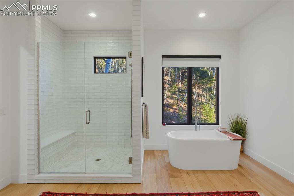 1005 Locklin Way Woodland Park CO 80863