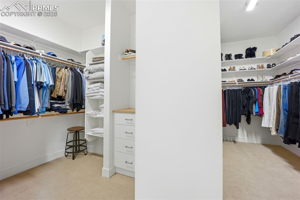 1005 Locklin Way Woodland Park CO 80863