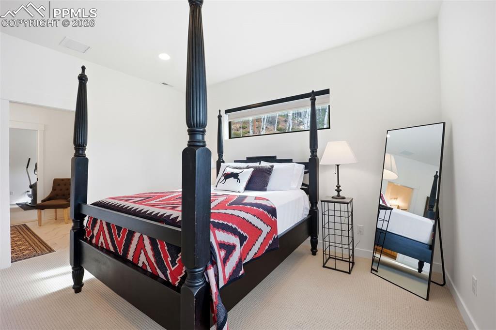 1005 Locklin Way Woodland Park CO 80863