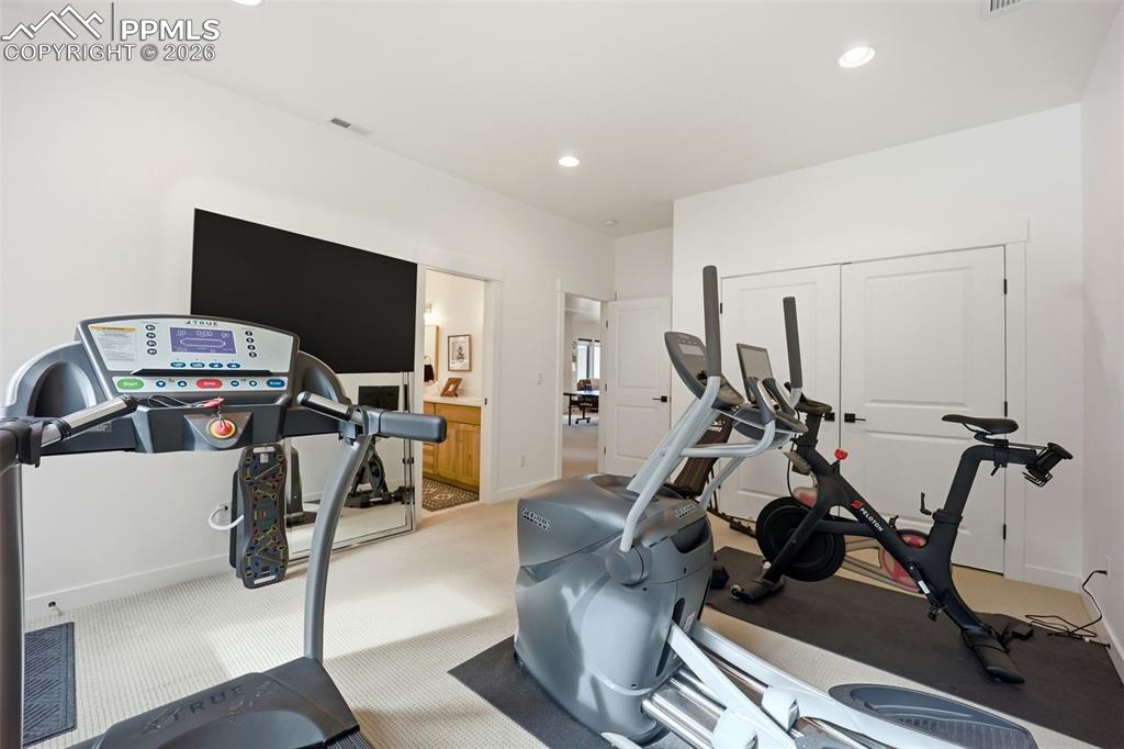 1005 Locklin Way Woodland Park CO 80863