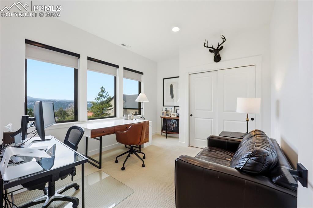 1005 Locklin Way Woodland Park CO 80863