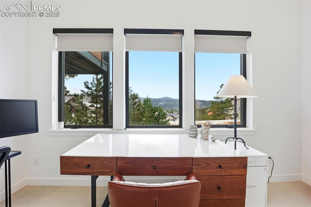 1005 Locklin Way Woodland Park CO 80863