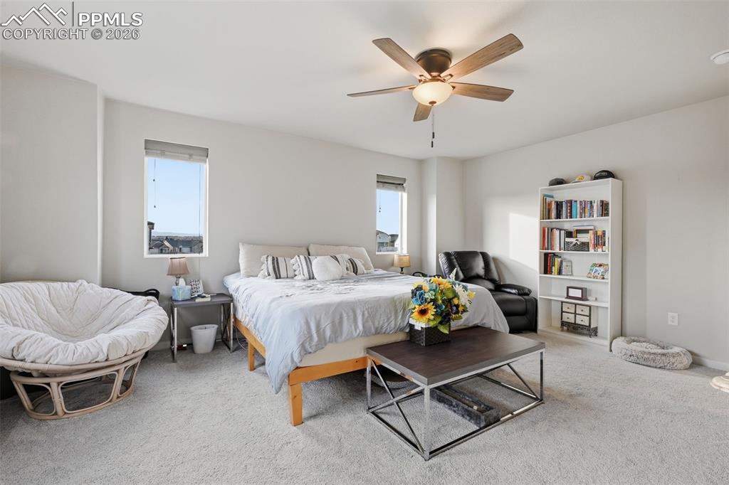 5799 Tramore Court Colorado Springs CO 80927