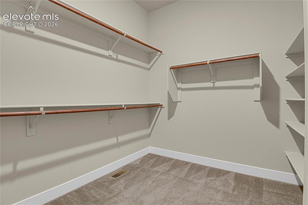 6524 Courtland Place Colorado Springs CO 80924