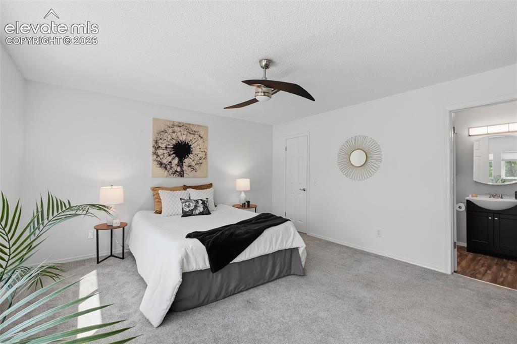 1480 Shadberry Court Colorado Springs CO 80915