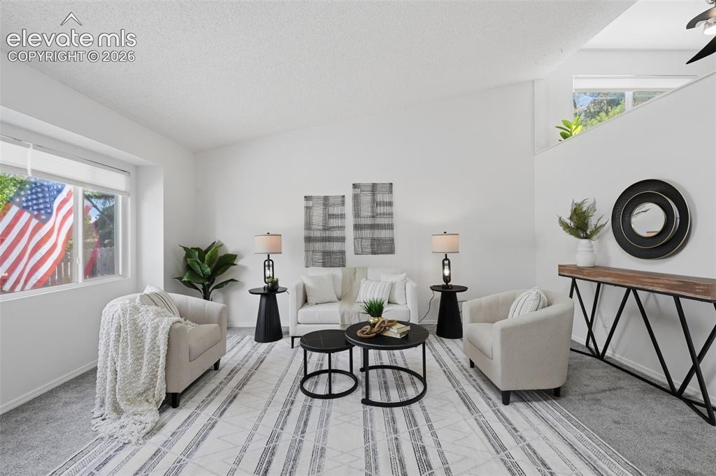 1480 Shadberry Court Colorado Springs CO 80915