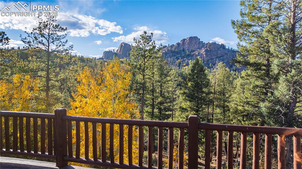 71 Durelli Drive Woodland Park CO 80863