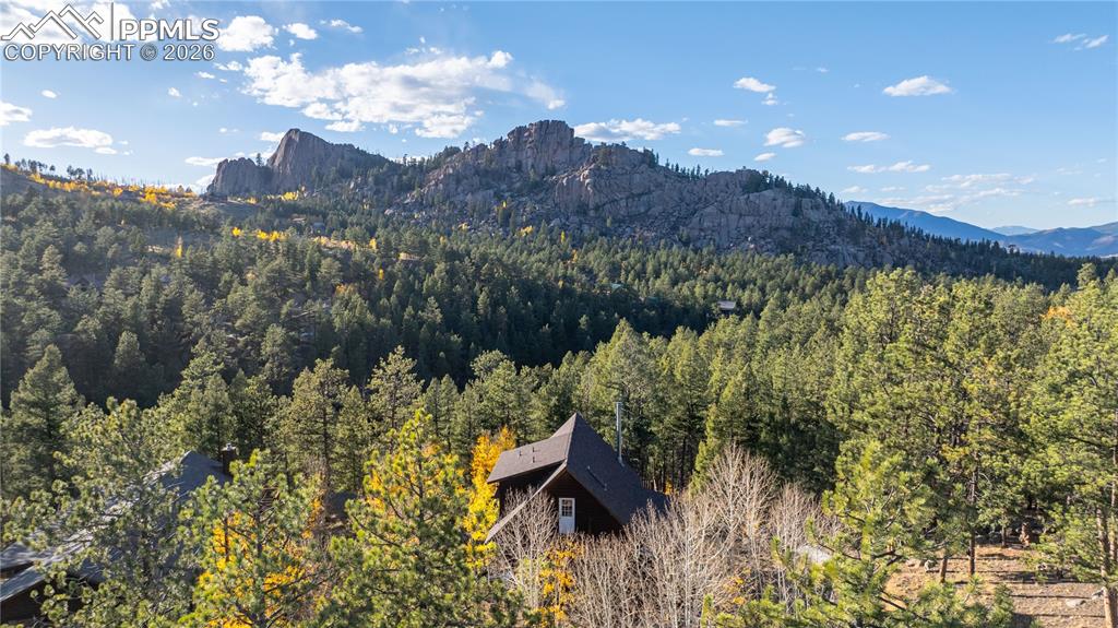 71 Durelli Drive Woodland Park CO 80863