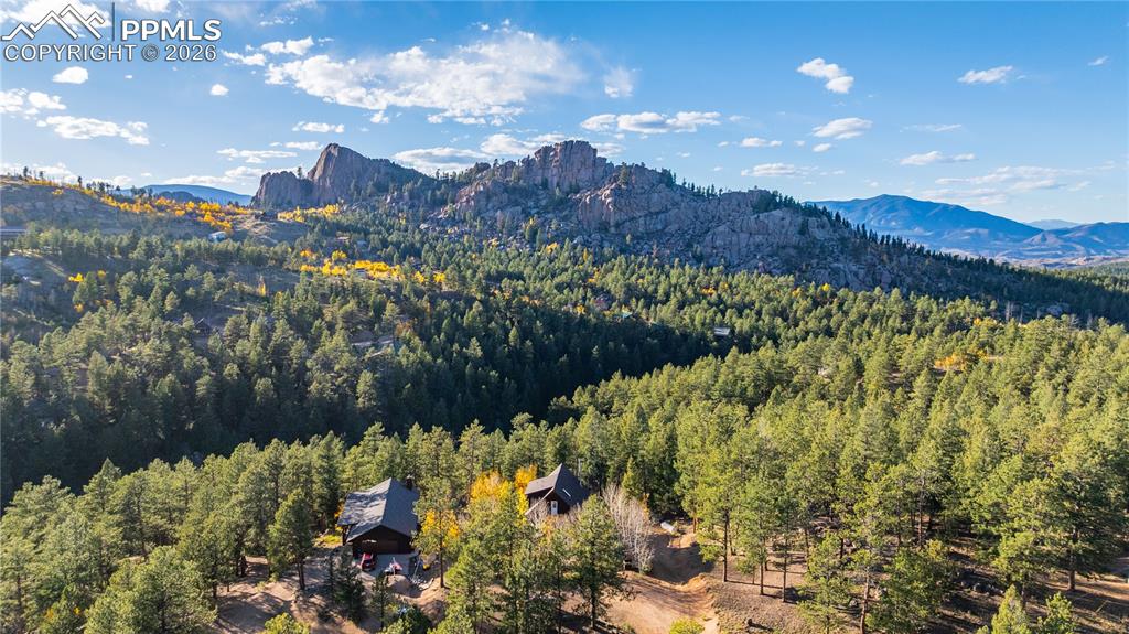 71 Durelli Drive Woodland Park CO 80863