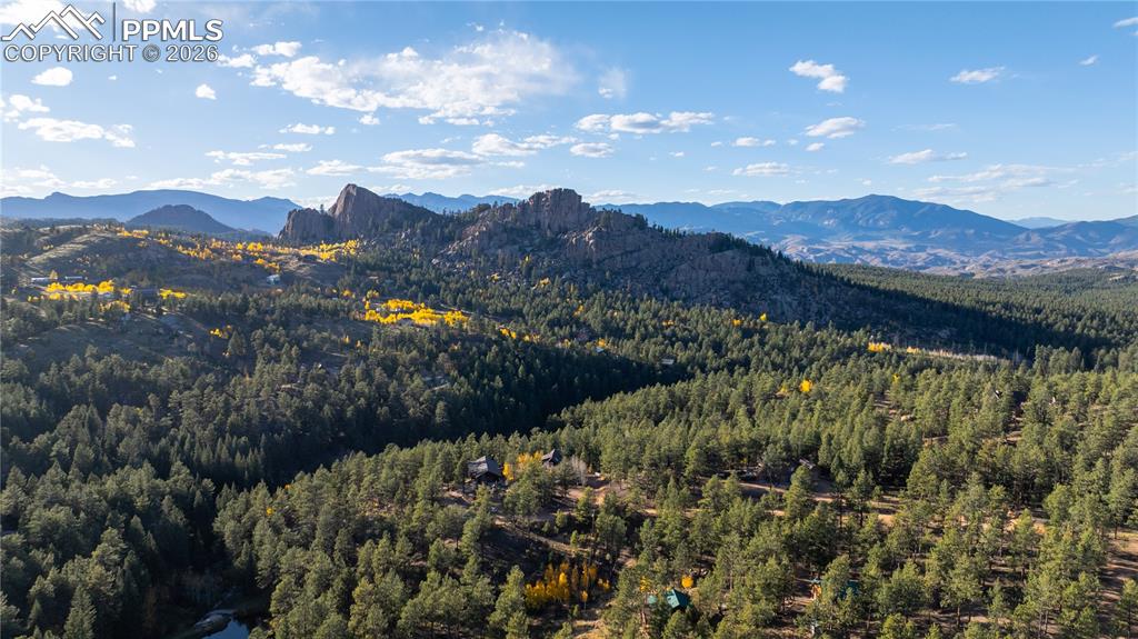 71 Durelli Drive Woodland Park CO 80863