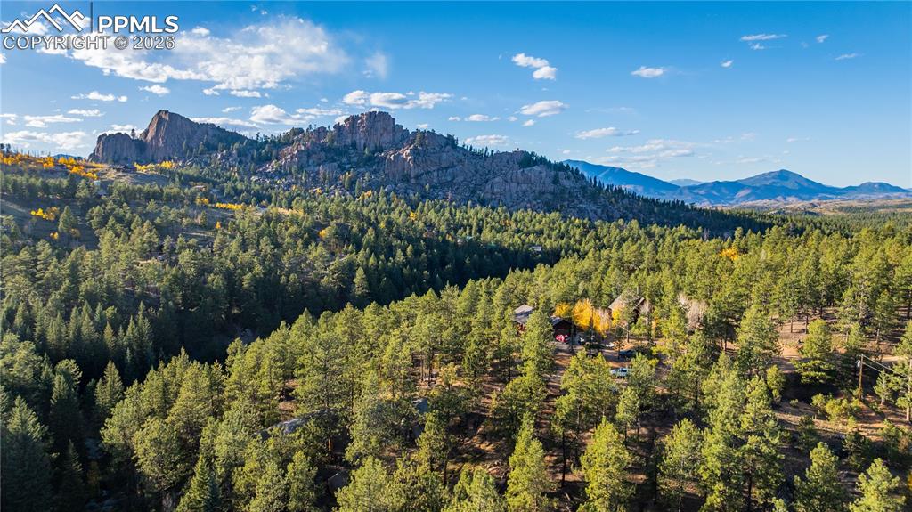 71 Durelli Drive Woodland Park CO 80863