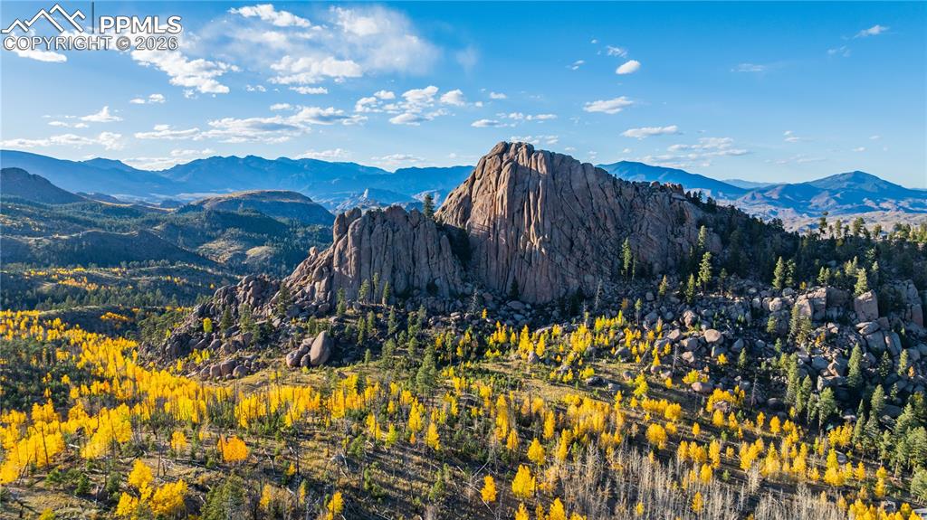 71 Durelli Drive Woodland Park CO 80863