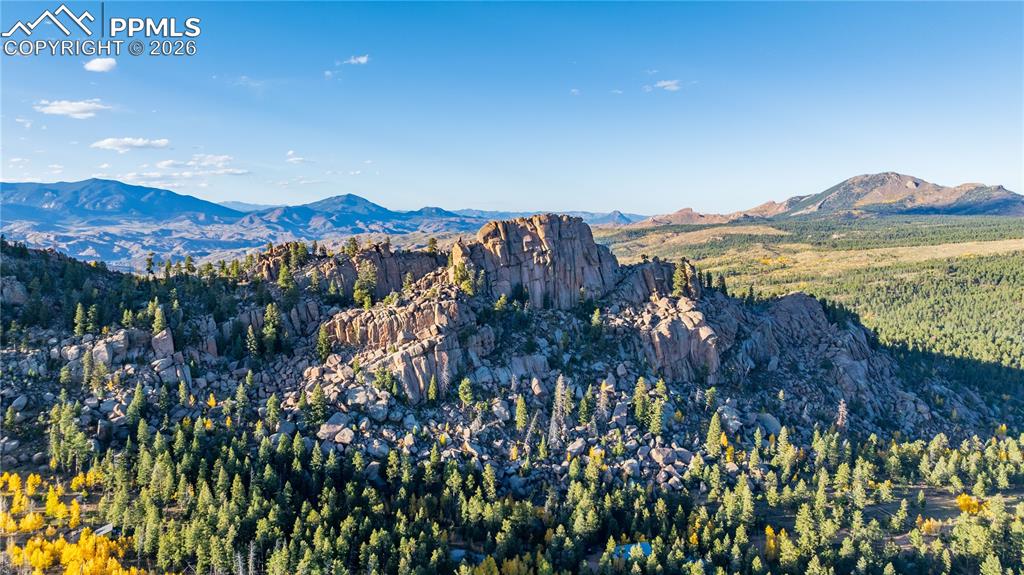 71 Durelli Drive Woodland Park CO 80863
