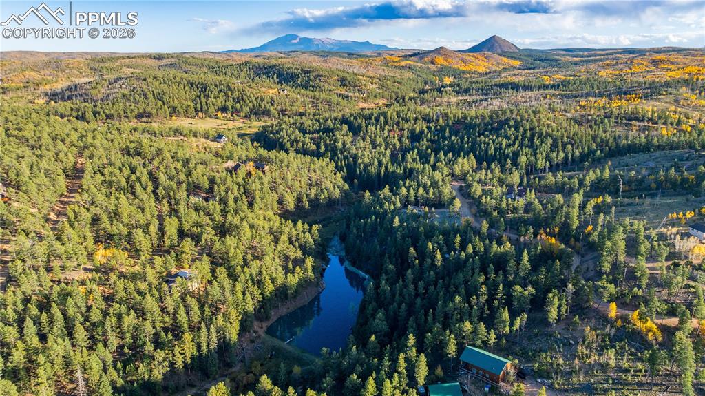 71 Durelli Drive Woodland Park CO 80863