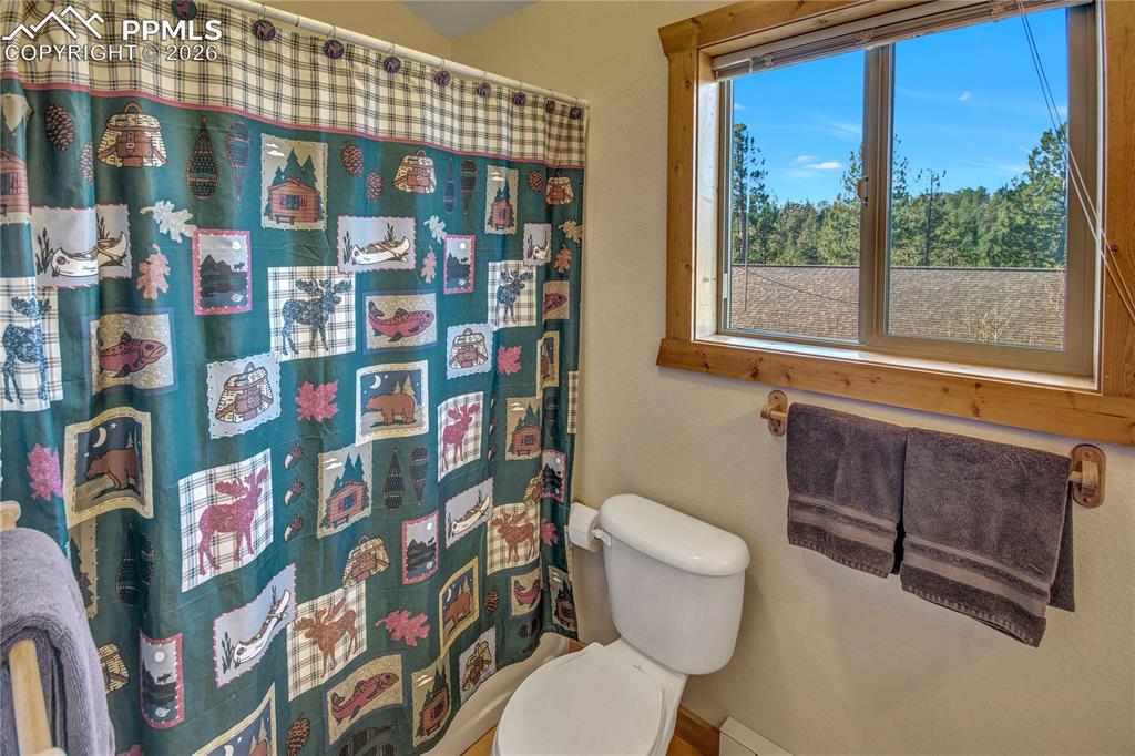 71 Durelli Drive Woodland Park CO 80863
