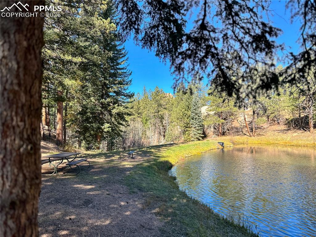 71 Durelli Drive Woodland Park CO 80863