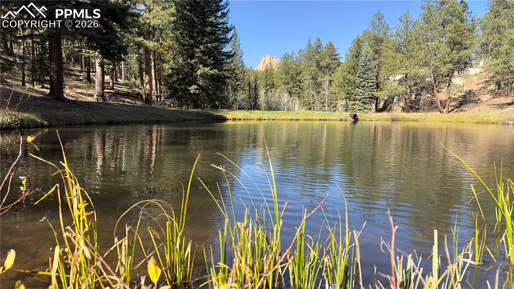 71 Durelli Drive Woodland Park CO 80863