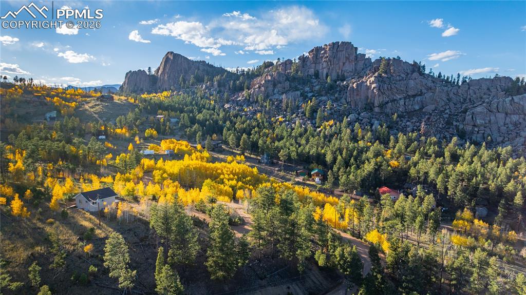 71 Durelli Drive Woodland Park CO 80863