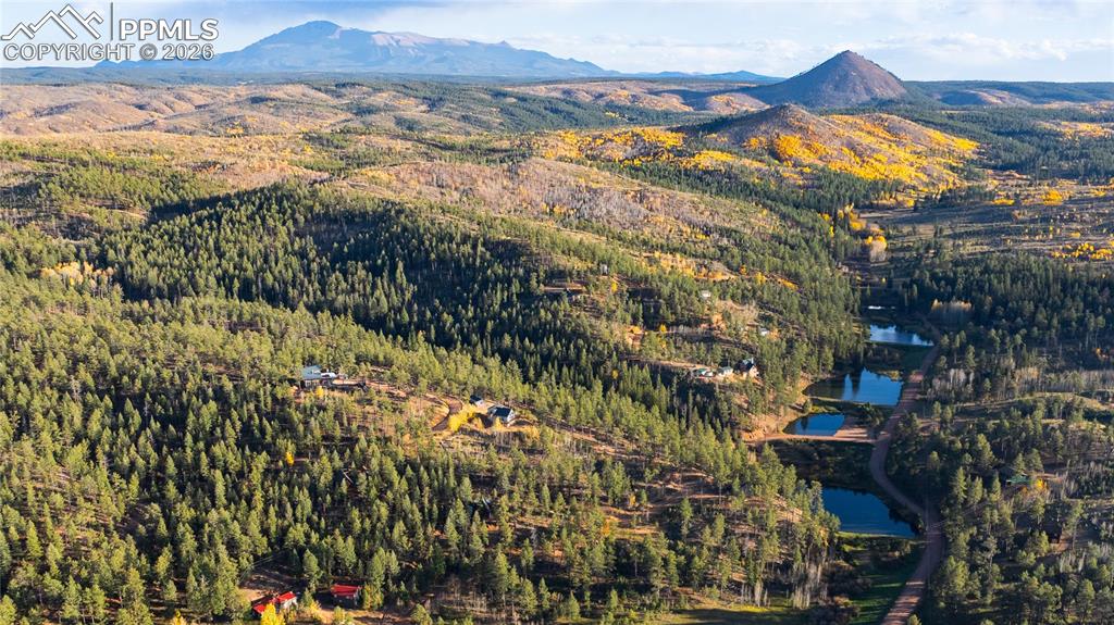 71 Durelli Drive Woodland Park CO 80863