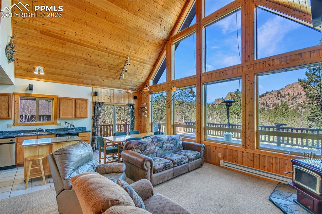 71 Durelli Drive Woodland Park CO 80863