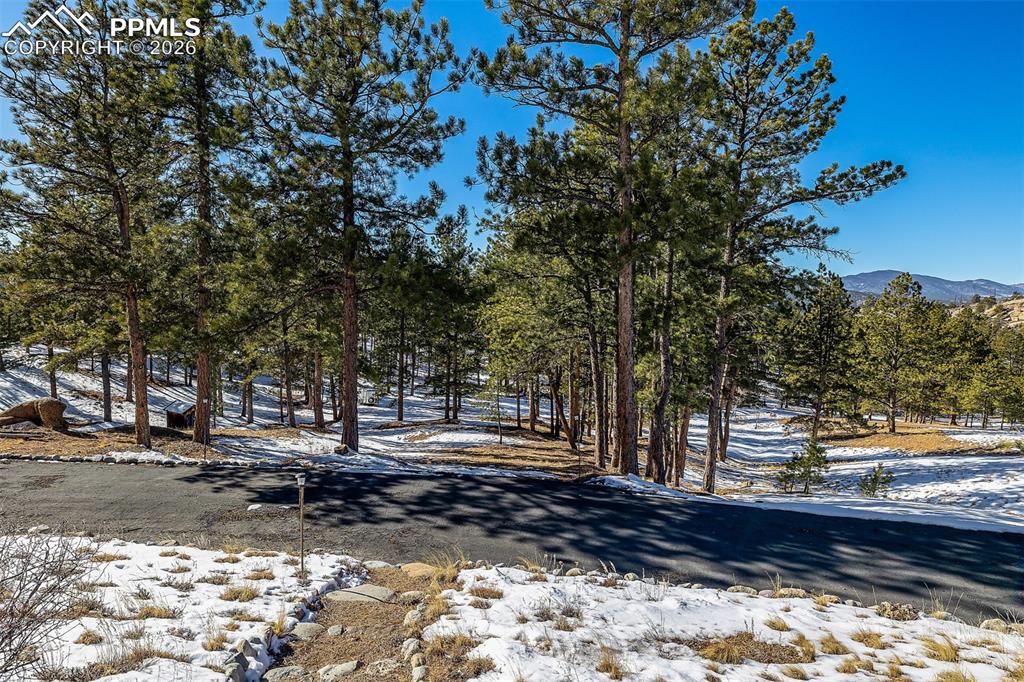 201 Lake Drive Florissant CO 80816