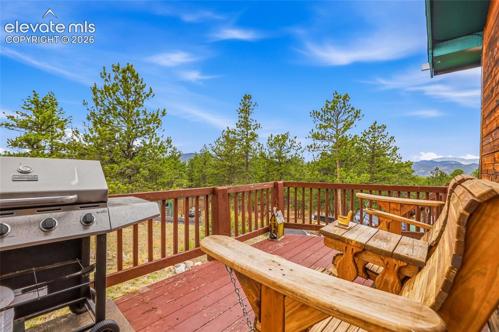 201 Lake Drive Florissant CO 80816