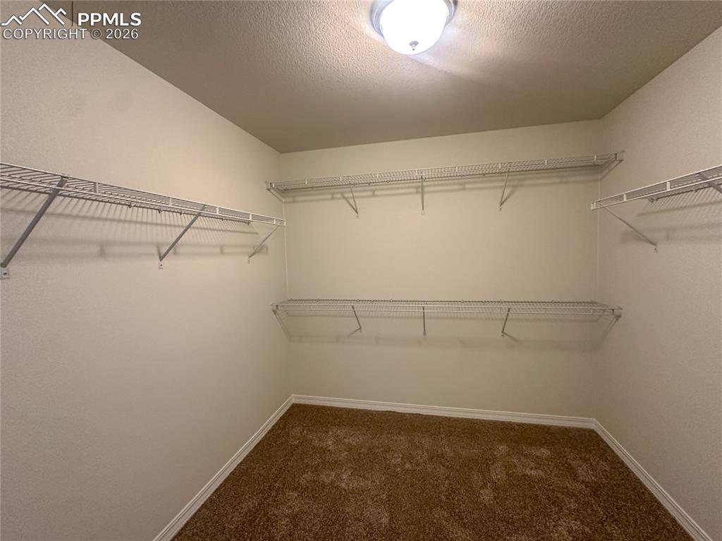 8275 Henzlee Place Falcon CO 80831