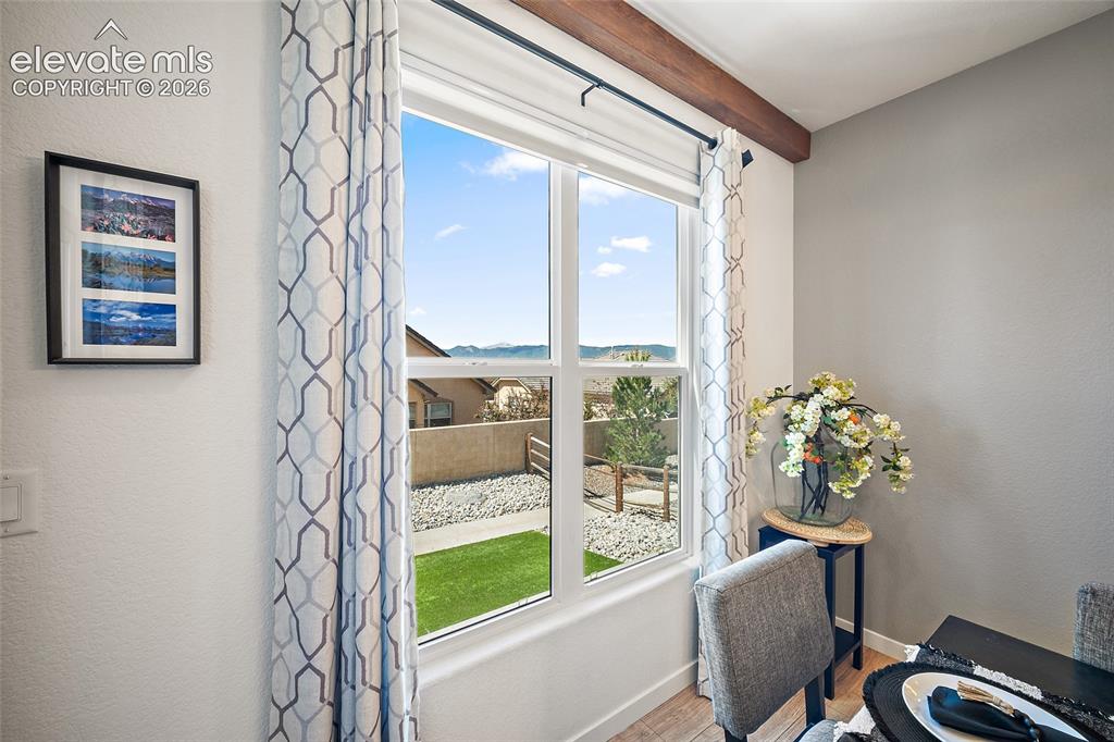 1485 Captiva Beach Lane Monument CO 80132