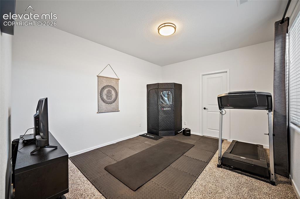 1485 Captiva Beach Lane Monument CO 80132