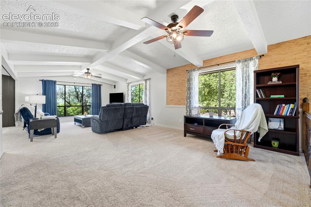 2411 Shalimar Drive Colorado Springs CO 80915
