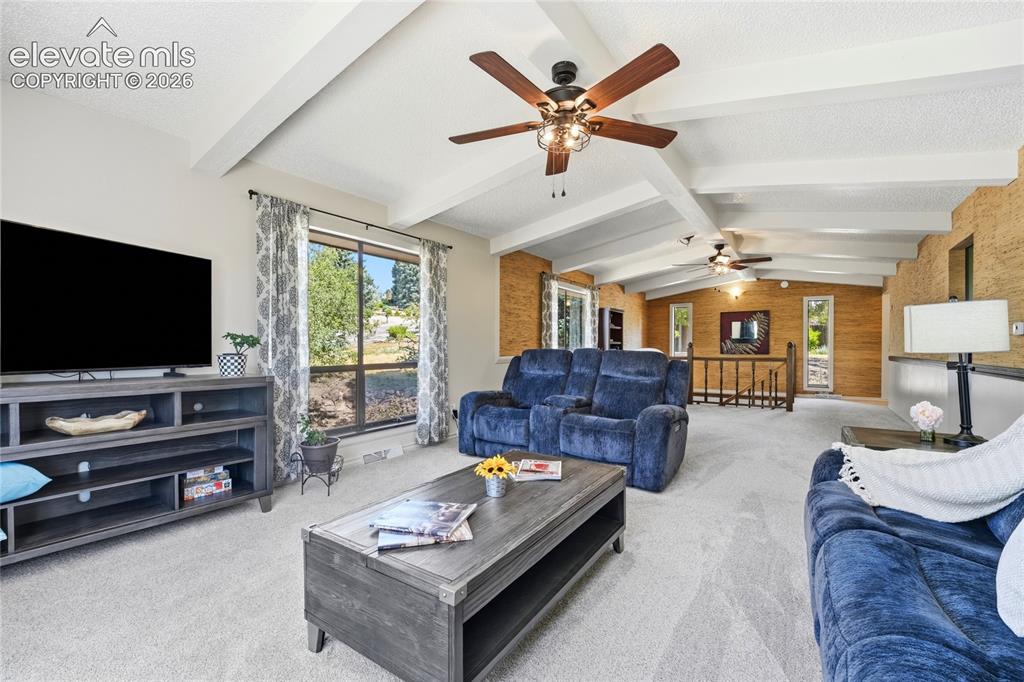 2411 Shalimar Drive Colorado Springs CO 80915