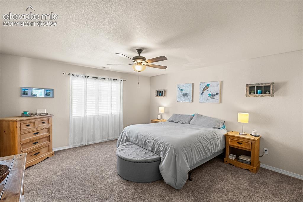 4044 Silver Star Grove Colorado Springs CO 80911