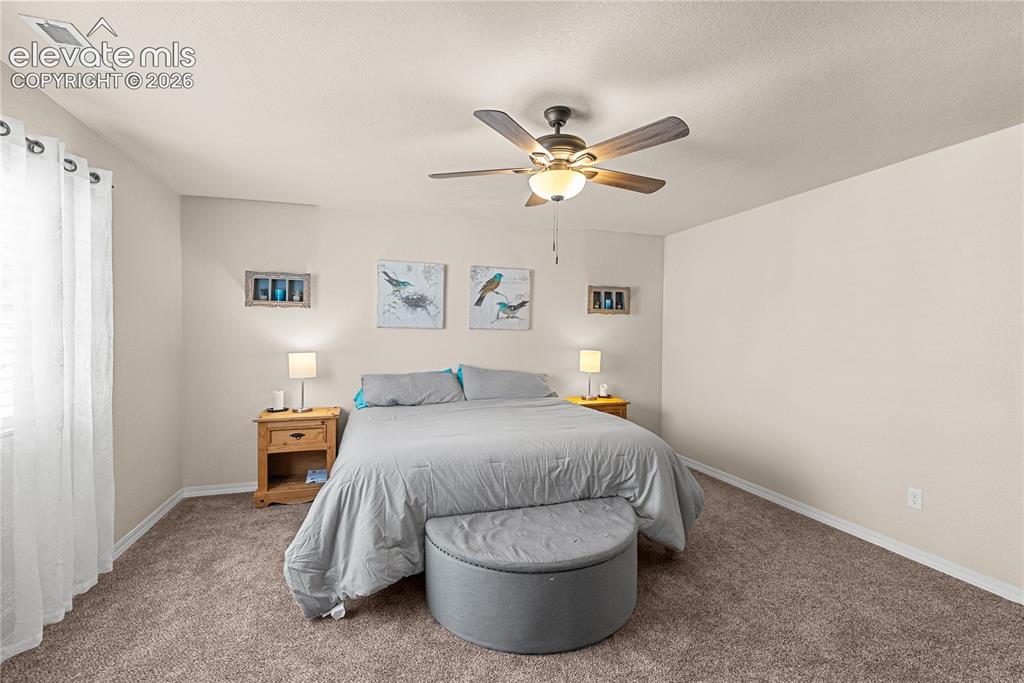 4044 Silver Star Grove Colorado Springs CO 80911
