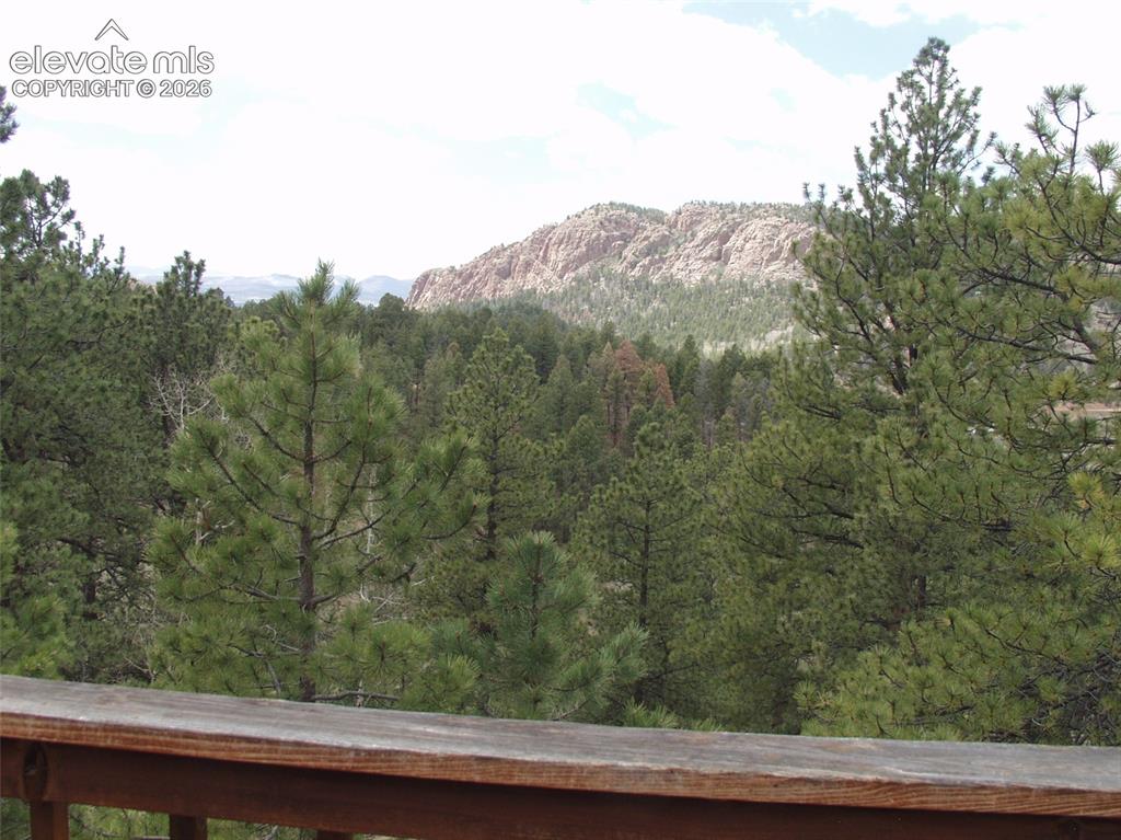 1078 Derby Drive Cripple Creek CO 80813