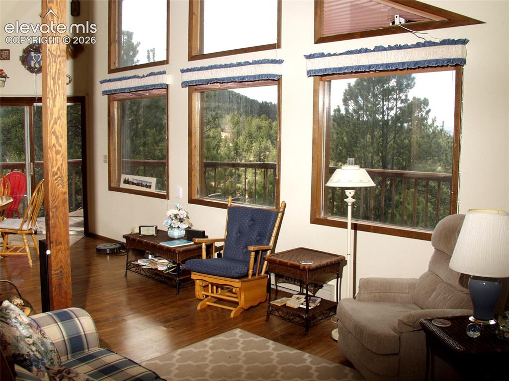 1078 Derby Drive Cripple Creek CO 80813