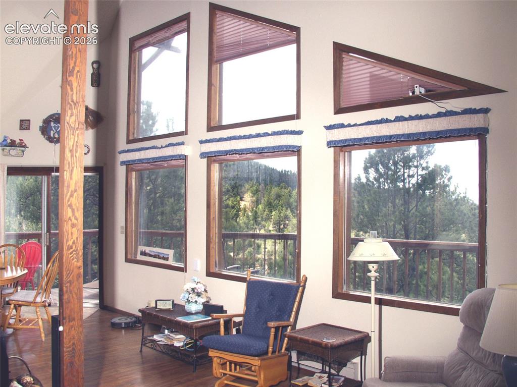1078 Derby Drive Cripple Creek CO 80813